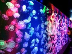 -多彩贵州城极地海洋世界