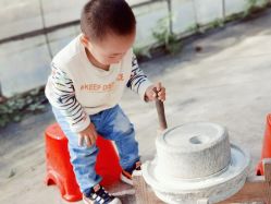 -前小桔亲子创意农场·草莓采摘·露营烧烤
