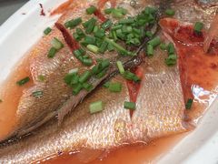 -沁旺达·福建海鲜(马连道店)