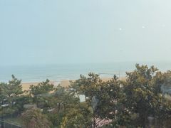 -青岛朗艺美术馆·海景咖啡