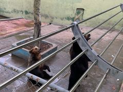 -西霞口神雕山野生动物世界