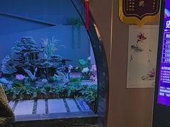 -陆琴脚艺·足浴·SPA(夫子庙店)