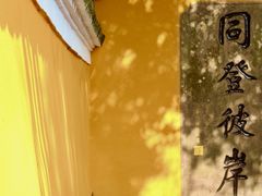 -普陀山风景区-佛顶山