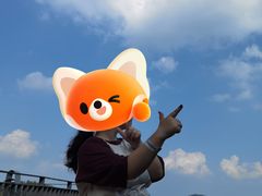 -南京银杏湖乐园