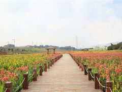 -那考河湿地公园