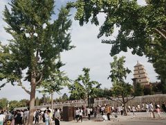 -大雁塔文化休闲景区-北广场