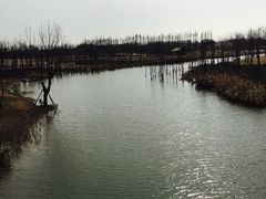 -上海长兴岛郊野公园