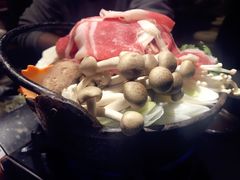 -春草居酒屋·晴子の店