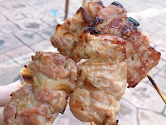 -清迈夜间动物园