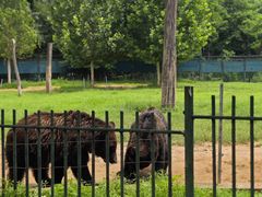-秦皇岛野生动物园