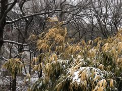 -崂山九水游览区