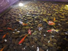 -姚江春中餐厅·太平洋大酒店