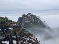 -黄山风景区