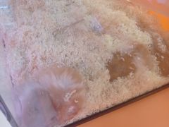 -可爱抓 COCO  GOTCHA(天津鹏欣水游城店)