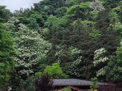 -酒仙湖景区