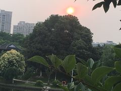 -花溪公园
