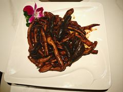 -花园茶楼(兴城西路店)