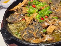 -老板恋上鱼(高新万达店)