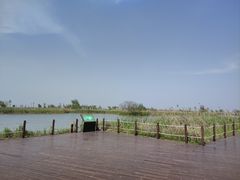 -盐城丹顶鹤湿地生态旅游区