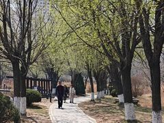 -前关湿地公园