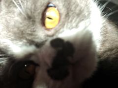 -宠颐生·恒爱宠物医院(静海店)