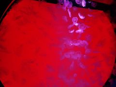 -沈阳海洋探索中心