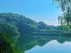 -杭州半山国家森林公园