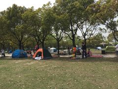 -新江湾城公园