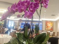 -皇朝尊会(龙之梦大酒店)