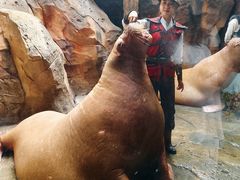 -哈尔滨波塞冬海底世界
