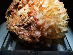 -湖南省地质博物馆