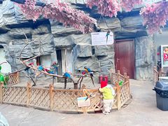 -鄂尔多斯野生动物园