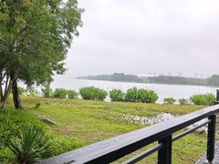 -长广溪湿地公园