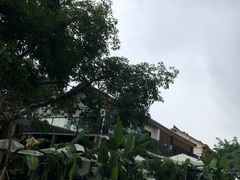 -三圣花乡旅游区