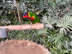 -南宫五洲植物乐园