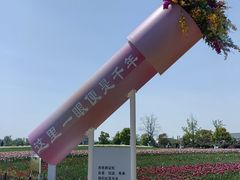 -荷兰花海