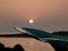 -日照灯塔风景区