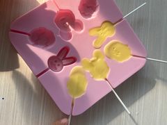 -麻涌飞鸭开心农场