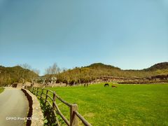 -OPPO服务体验中心(天津和平区天河城店)