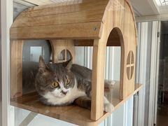-贝康宠物医院·犬猫全科·小动物特色诊疗中心(东环路店)