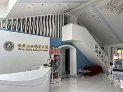 -西安小天鹅艺术团(曲江Alice店)