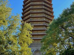 -玲珑塔公园