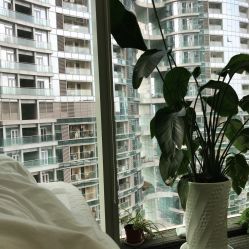 -贞禾医美·连锁