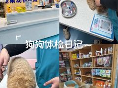 -宠颐生宠物医院·异宠猫科内科·诊疗中心宠巢店
