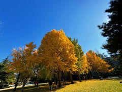-北京理工大学(中关村校区)