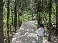 -封龙山风景区