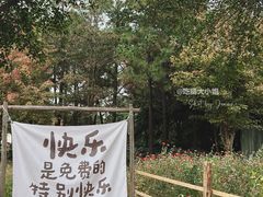 -三垟湿地