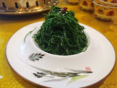 炝拌草原沙葱-德乐海蒙餐