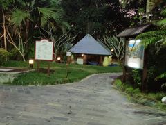 -三亚海棠湾南田温泉神龙谷