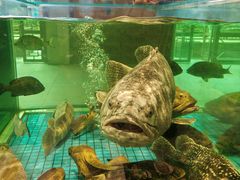 -聚福宝合苑食府(南头镇店)